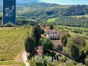 Pelago Firenze 96330818