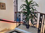 Penhause Milla de oro