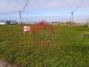 Peniche Peniche 98151605