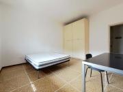 Stanza in appartamento in affitto a Bologna