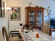 Pentalocale non arredato in Via Saragozza