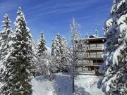 Penthouse à Courchevel Moriond