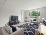 Penthouse Apartments 1 Bedroom Apartment for Rent