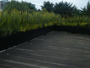 Penthouse con Roof Garden de 3 niveles