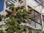 PENTHOUSE EN TULUM EN VENTA DE 1 HABITACIÓN CON ALBERCA...