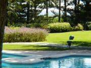 Penthouse en venta Marbella