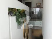Penthouse Fully Furnished Duplex Penta Square DHA Phase...