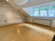 Penthouse mit Galerie, offener Kamin und Terrasse zu...