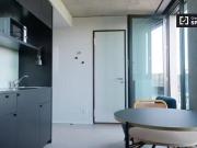 Penthouse Studio Wohnung in Frankfurt zu vermieten