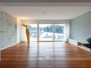 Penthouse Wohnung in Plainfeld