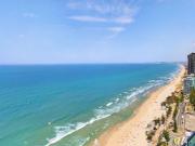 PEPPERS SOUL Best Opportunity