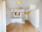 Perfect Apartment for City Professionals