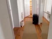 Perfect, fashionable home in Prenzlauer Berg, Berlin...