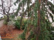 Perfekt angelegte Neubauwohnung in thermisch sanierter...