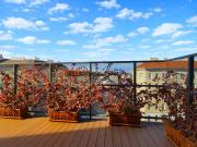 Neuer Preis ! Perfekte 1 Zimmer Wohnung zu verkaufen !...