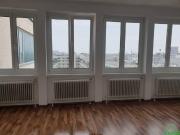 PERFEKT GESCHNITTENER SINGLEHIT *MIT KÜCHE