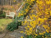 Perfekte 5 Zimmer Wohnung mit Garten am...