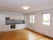 Perfekter Grundriss top saniert Single Wohnung in 1190 Wien