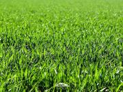 Perfektes Grundstück für gewerbliche Nutzung