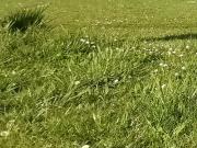 Périgueux 24000 Programme neuf terrain neuf à vendre