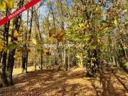 Périgueux Aquitaine 24000 95302641