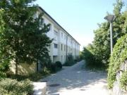 PERLE RARE DANS LA REGION DES 3 LACS 2.5pcs avec...