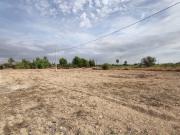 PERLETA, A 6 KM DEL CASCO URBANO DE ELCHE