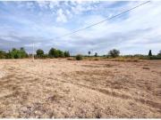 PERLETA, A 6 KM DEL CASCO URBANO DE ELCHE