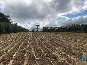 PERMUTA Terreno Industrial/Comercial podendo fazer 12...