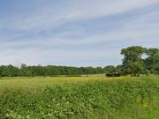 Pernay Vente Terrain 37