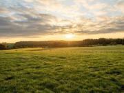 Pernay Vente Terrain 37