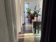 Perpignan 66000 Achat / Vente divers 5 pièces