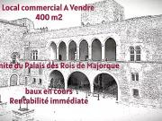 Perpignan 66000 Achat / Vente immeuble