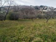 Pescara Terreno Agricolo con 2 Fabbricati