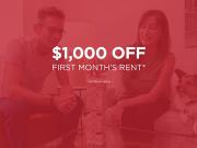 Pet friendly One Bedroom One Bath With In suite Laundry...