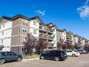 Pet friendly Two Bedroom One Bath With In suite Laundry...