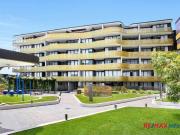 Pet Friendly with Large Patio