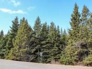 Peters Road, Peters Road, PE, C0A 1R0 vacant land for sale.