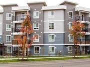 PetFriendly One Bedroom One Bath Den with Insuite... PetFriendly One Bedroom One Bath Den with Insuite...