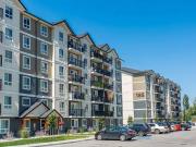 PetFriendly Two Bedroom One Bath with Insuite Laundry...