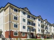PetFriendly Two Bedroom Two Bath Den with Insuite...