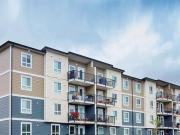 PetFriendly Two Bedroom Two Bath with Insuite Laundry...