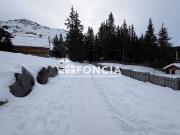 Petit cocon skis aux pieds Altiport