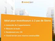 Petit Immeuble de rendement REN env. 3%