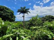 Petit Petit 97170 100780868