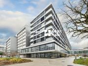 Petit Saconnex Büro von ca. 304 m²