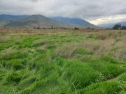 Cabildo. San Lorenzo. Parcelas 5000 m2, totalmente...