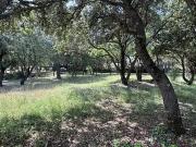 Peyrolles en Provence 13860 Achat / Vente terrain