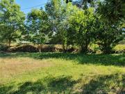 Pézilla la Rivière Vente Terrain 66