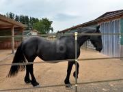 PFERDERANCH, REITANLAGE, TRAUMHAUS, TOP ZUSTAND